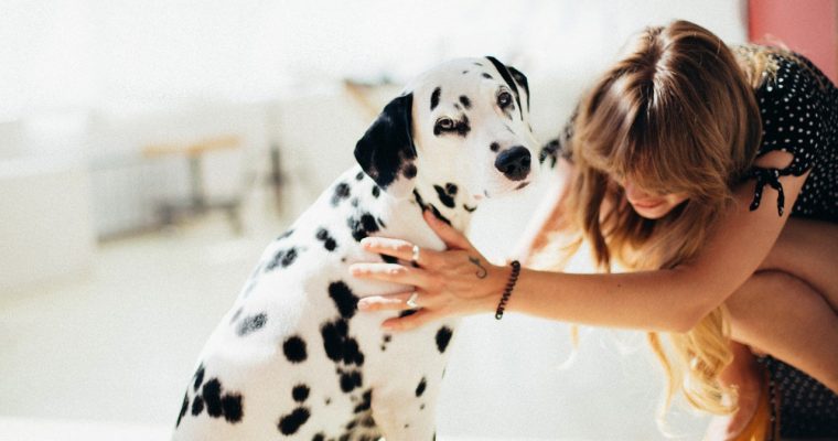 How To: A Dog-Friendly Home That’s Also Stylish