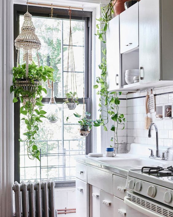 Kitchen With Greenery