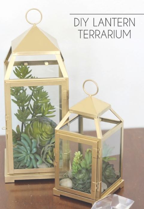 lantern-terrarium-tutorial