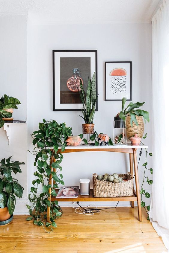 Plants in an entryway