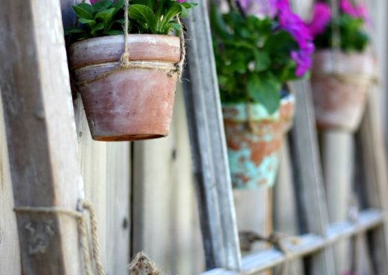 old window frame idea for gardens