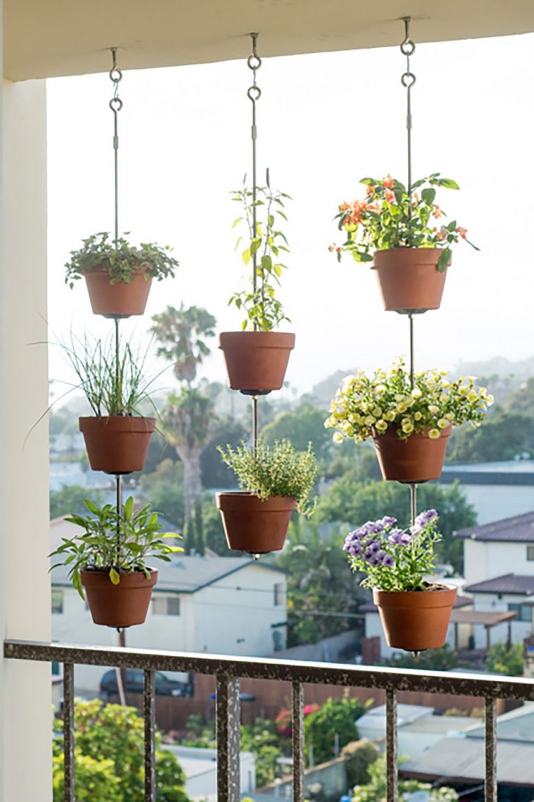 hanging-plants