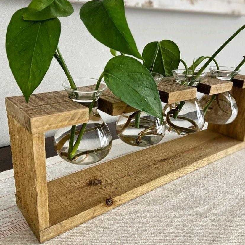 Rustic Wooden Hanging Propagation Station